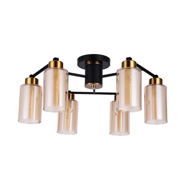 Потолочная люстра Arte Lamp Leo A7027PL-6BK изображение 1 Потолочная люстра Arte Lamp Leo A7027PL-6BK Фото № 1