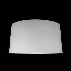 Потолочный светодиодный светильник Loft IT Duo 10360L White 1