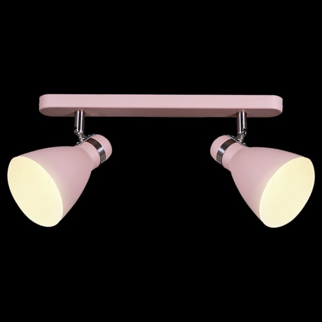 Спот Reluce 05060-0.8-02C PK Фото № 1