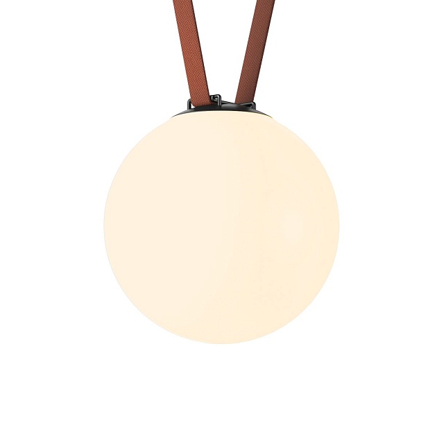 Трековый светильник Denkirs Belty Orb DK5555-BK Фото № 4