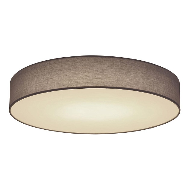 Потолочный светодиодный светильник Globo Sanna 15585D2 Фото № 1