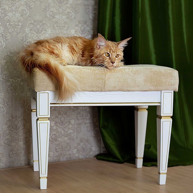 Банкетка Мебелик Васко В 97Н 001159 Фото № 10