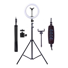 Торшер Camelion KD-810F C02 13010 4