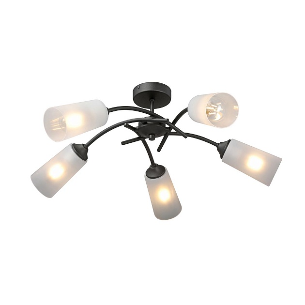 Потолочная люстра Vitaluce V2850-1/5PL Фото № 1