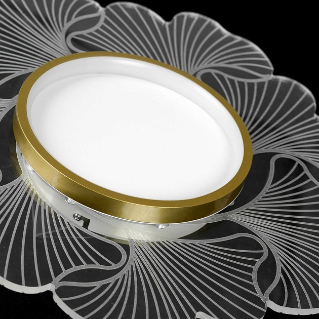 Потолочный светодиодный светильник Lussole Benton LSP-7340 изображение 3 Потолочный светодиодный светильник Lussole Benton LSP-7340 Фото № 3