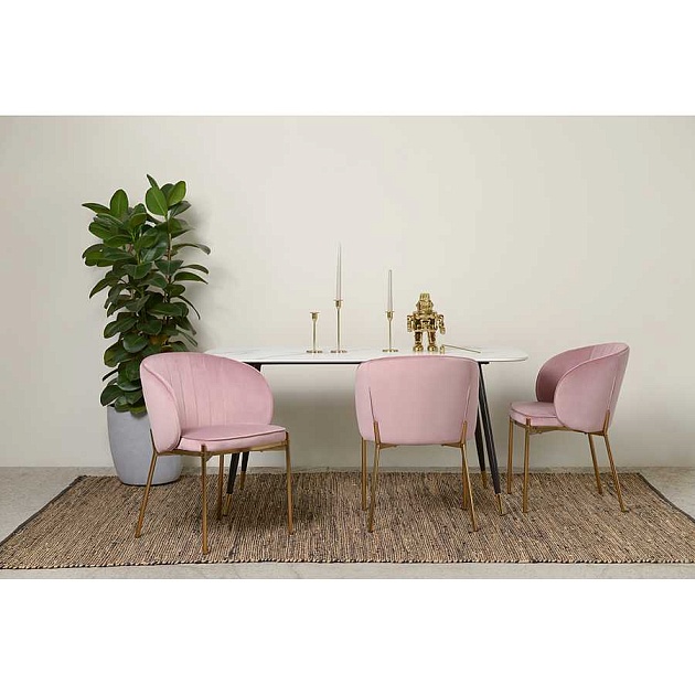 Кухонный стул Bergenson Bjorn Coral BEAR-CO10815 изображение 17 Кухонный стул Bergenson Bjorn Coral BEAR-CO10815 Фото № 17