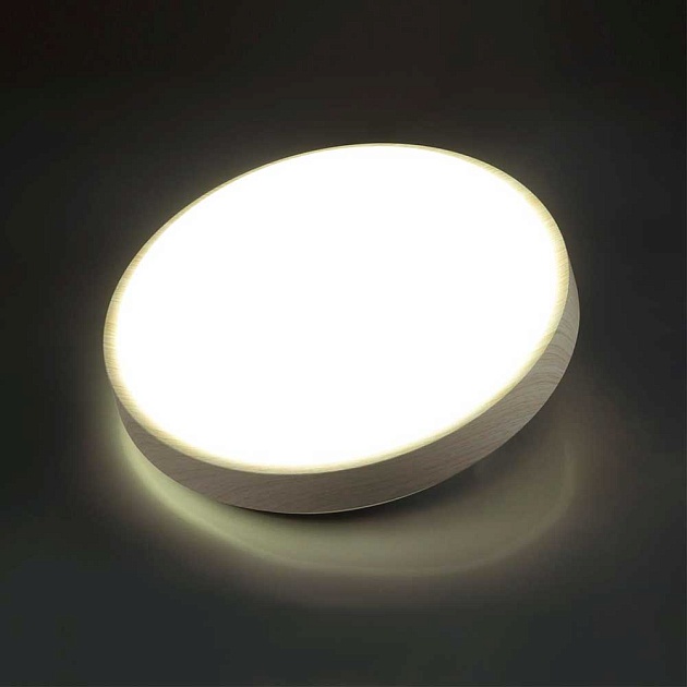 Настенно-потолочный светодиодный светильник Sonex Losta 7628/CL Фото № 6