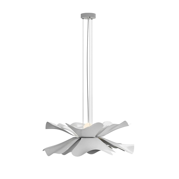 Подвесная люстра Lightera Chad LE116L-60W Фото № 9