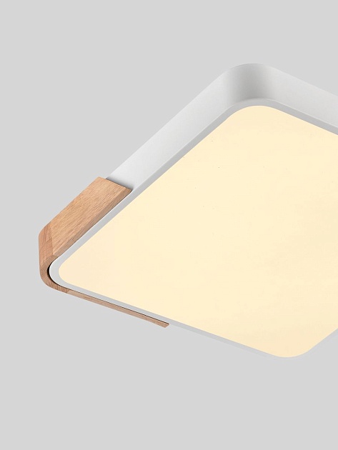 Потолочный светодиодный светильник Natali Kovaltseva LED LAMPS 81411 изображение 3 Потолочный светодиодный светильник Natali Kovaltseva LED LAMPS 81411 Фото № 3