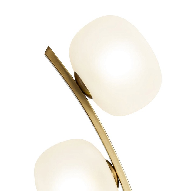 Настольная лампа Freya Donuts FR5444TL-03BS Фото № 3