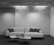 Трековый светильник Maytoni Technical TR146-1-5W4K-PT 5