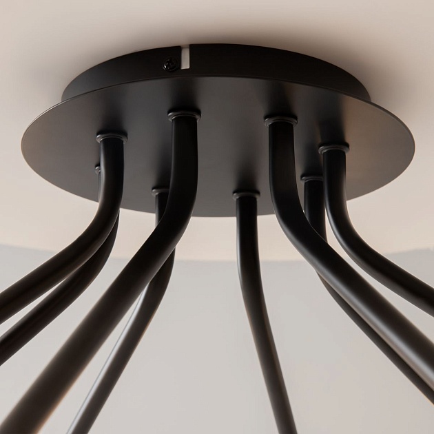 Потолочная люстра Maytoni Vigo MOD620CL-16B Фото № 3