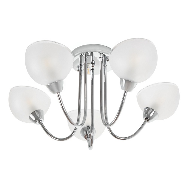 Потолочная люстра MyFar Ekaterina MR1291-5C Фото № 5