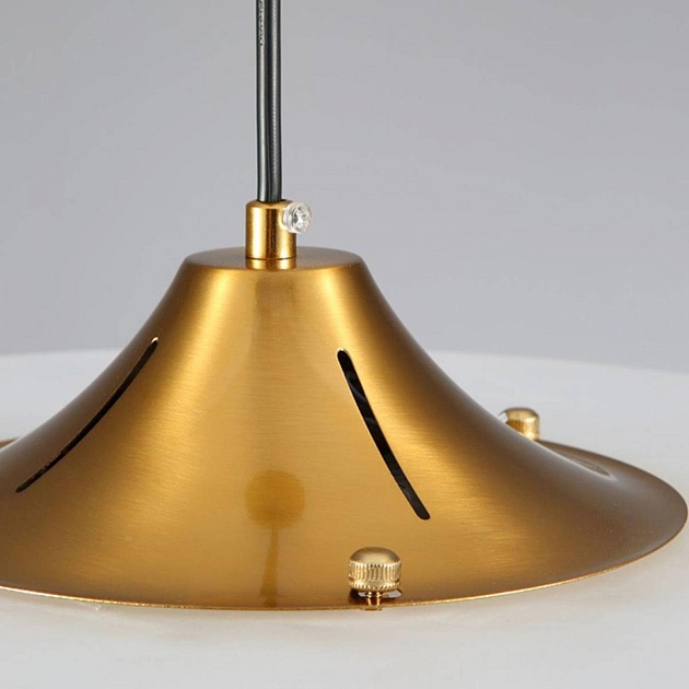 Светильник подвесной Lightera Tekapo LE127L-40G Фото № 9