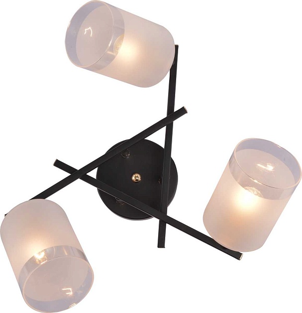 Потолочная люстра Rivoli Fiona 3163-303 Б0059259 Фото № 4