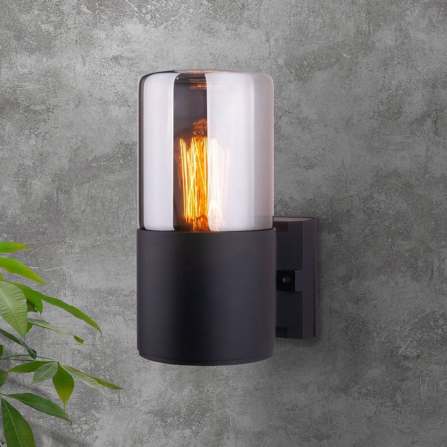 Уличный настенный светильник Elektrostandard Roil 35125/U a055630 Фото № 4