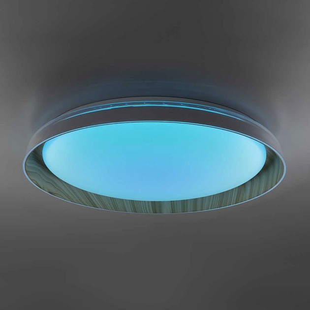 Потолочный светодиодный светильник Citilux Mega CL752452G изображение 6 Потолочный светодиодный светильник Citilux Mega CL752452G Фото № 6