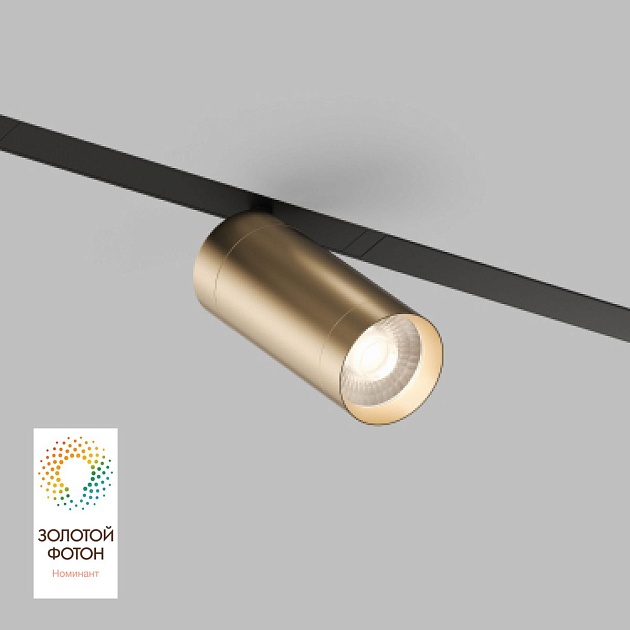 Трековый светодиодный светильник Denkirs Smart Spot DK8020-BG Фото № 1