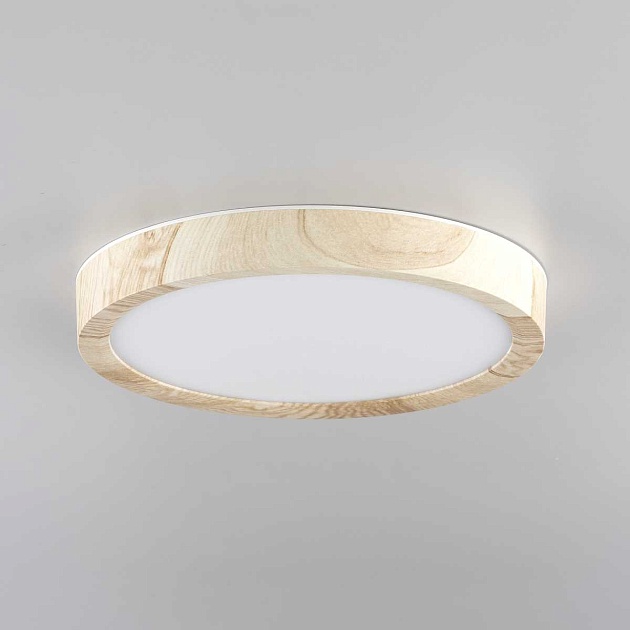 Светильник накладной Citilux Бейсик CL738122N Фото № 2