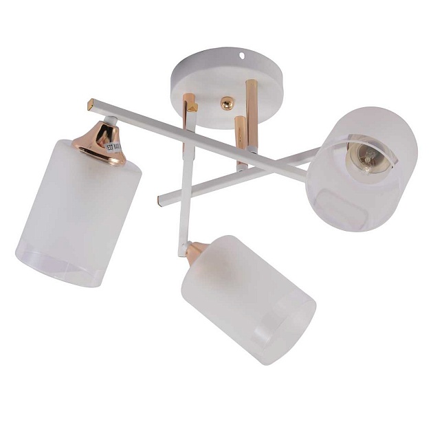 Потолочная люстра Rivoli Tammy 3162-303 Б0059258 изображение 1 Потолочная люстра Rivoli Tammy 3162-303 Б0059258 Фото № 1