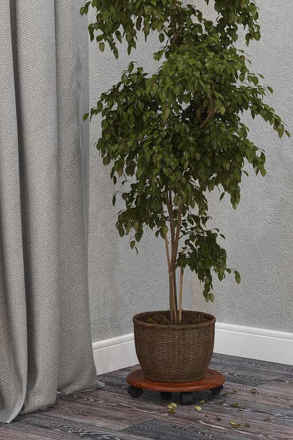 Подставка для цветов Мебелик Спираль (2шт) 004712 изображение 5 Подставка для цветов Мебелик Спираль (2шт) 004712 Фото № 5