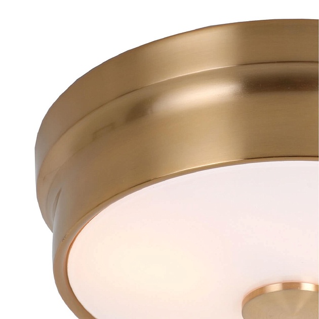 Потолочный светильник Favourite Pannikin 2375-2C Фото № 2