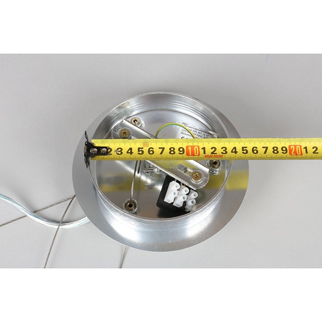 Подвесная люстра Aployt Gertunia APL.847.13.10 Фото № 3