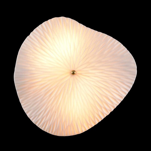 Настенный светильник Crystal Lux CONTESSA AP2.2 Фото № 5