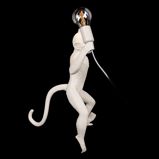 Настенный светильник Loft IT Monkey 10314W/A Фото № 5