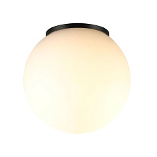 Потолочный светильник Odeon Light NATURE 7124/1C 3