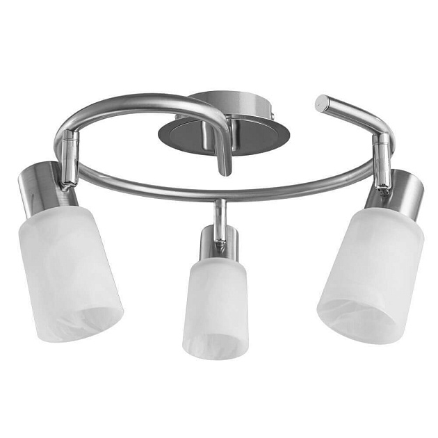 Спот Arte Lamp A4510PL-3SS Фото № 1