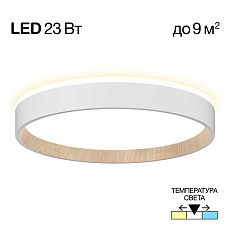 Потолочный светодиодный светильник Citilux Etalon CL750240