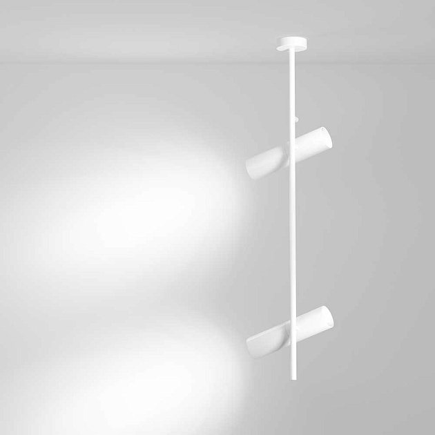 Потолочный светильник Maytoni Elti C021CL-02W Фото № 3