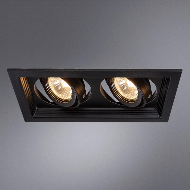 Встраиваемый светильник Arte Lamp Canis A6661PL-2BK Фото № 5