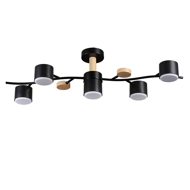 Потолочная люстра Lumion Comfi Crypto 8194/5C изображение 1 Потолочная люстра Lumion Comfi Crypto 8194/5C Фото № 1