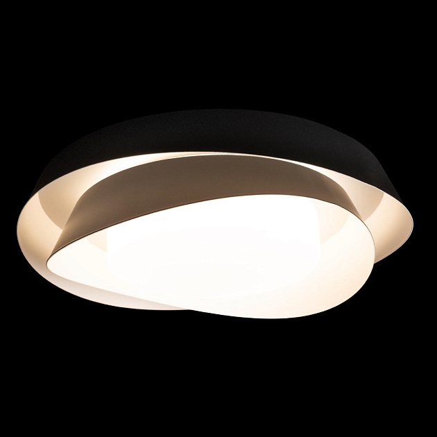 Потолочный светильник Loft IT Petale 10256 Black Фото № 6