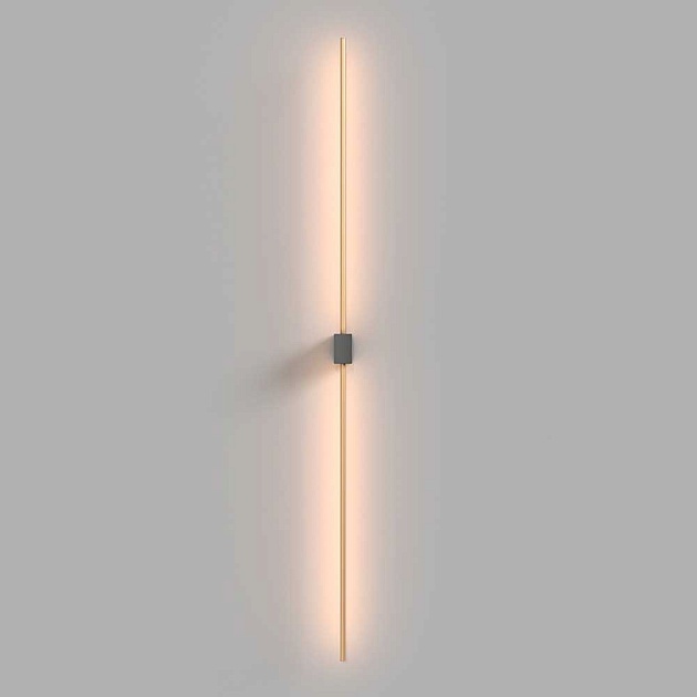 Настенный светильник Maytoni Technical Pars C071WL-L12GB3K Фото № 4