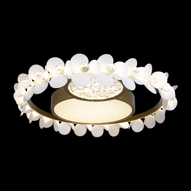 Потолочный светодиодный светильник Loft IT Bride 10174 Фото № 3