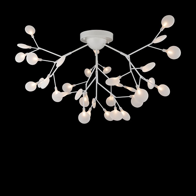 Потолочная люстра Freya Florencia FR5049CL-36W1 Фото № 3