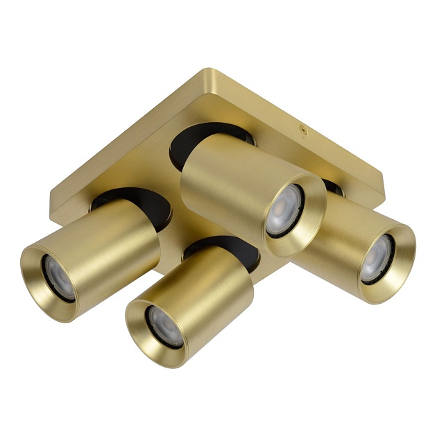 Спот Lucide Nigel 09929/20/02 Фото № 1