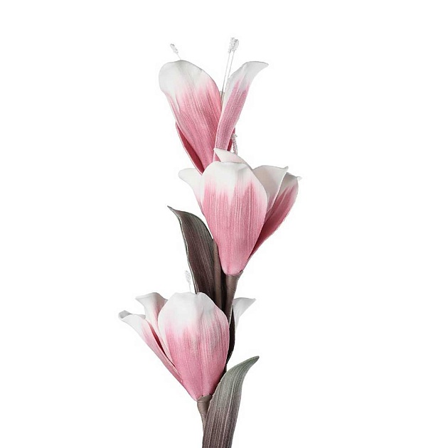 Искусственное растение Eglo MOLAVE 428117 изображение 2 Искусственное растение Eglo MOLAVE 428117 Фото № 2