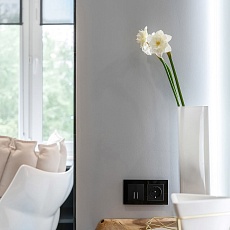 Розетка Werkel с заземлением и шторками черный матовый W1171108 4690389156885 5