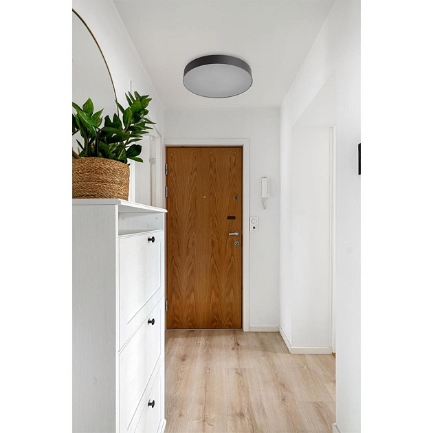 Настенно-потолочный светильник Sonex BASICA 7780/DLN изображение 2 Настенно-потолочный светильник Sonex BASICA 7780/DLN Фото № 2