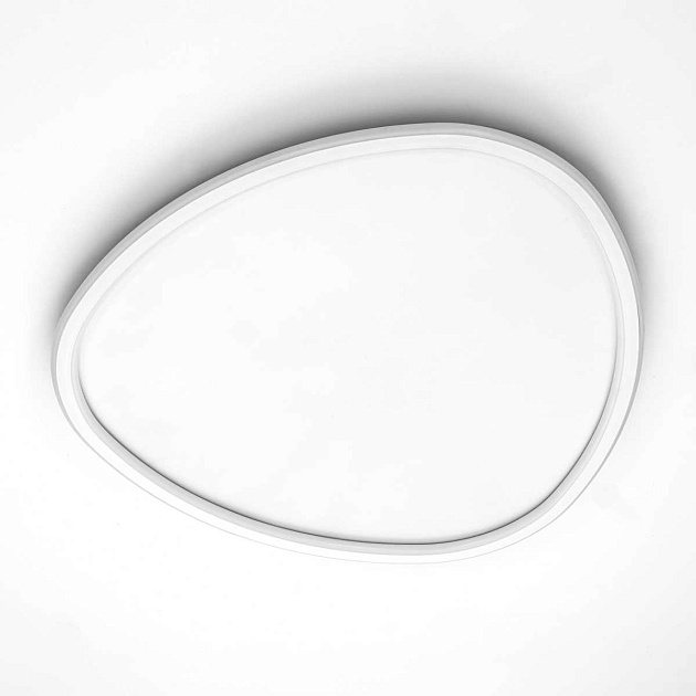 Потолочный светодиодный светильник Citilux Trio CL215B260E Фото № 5