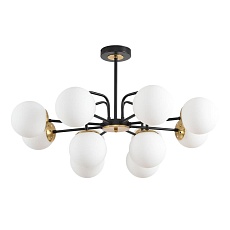 Люстра Lumion ELRONA 8375/12C