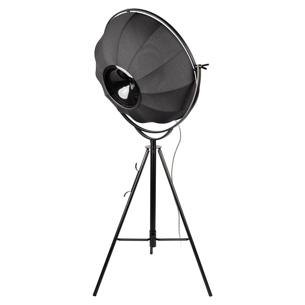 Торшер Loft IT Studio 10301/M Фото № 5