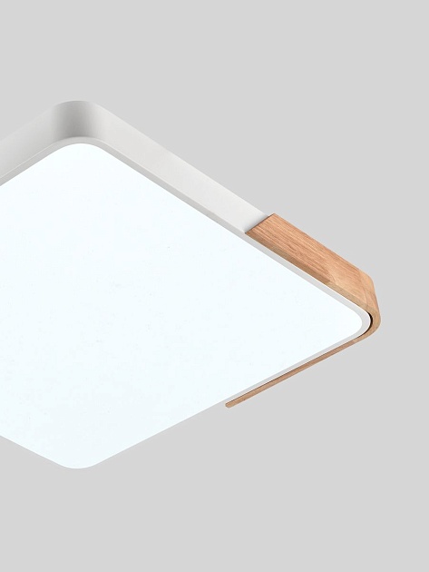 Потолочный светодиодный светильник Natali Kovaltseva LED LAMPS 81411 изображение 4 Потолочный светодиодный светильник Natali Kovaltseva LED LAMPS 81411 Фото № 4