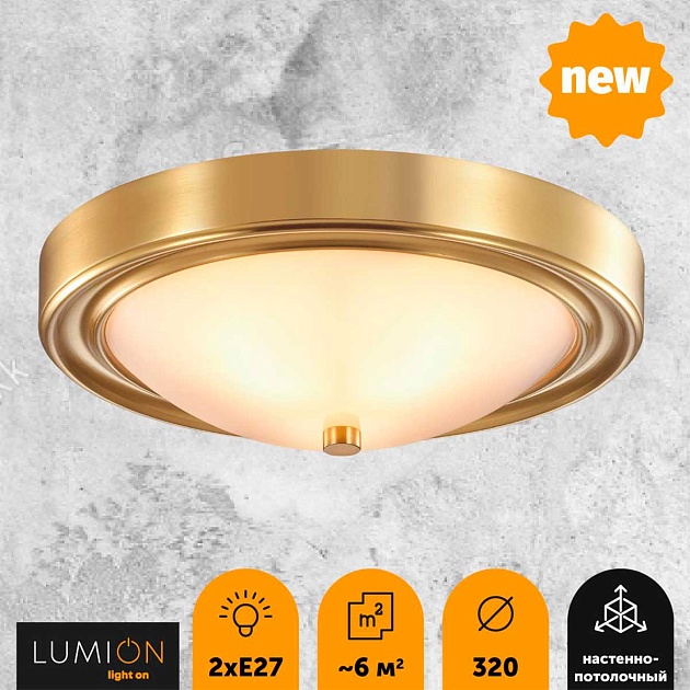 Настенно-потолочный светильник Lumion Vintage Nina 5259/2C Фото № 3