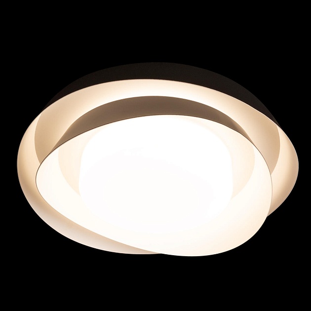 Потолочный светильник Loft IT Petale 10256 Black Фото № 4