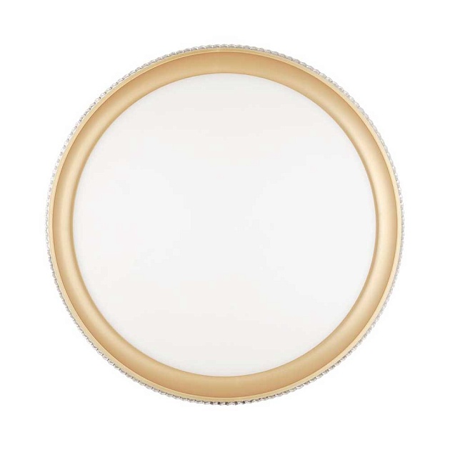 Настенно-потолочный светодиодный светильник Sonex Pale Shiny 3054/EL изображение 4 Настенно-потолочный светодиодный светильник Sonex Pale Shiny 3054/EL Фото № 4